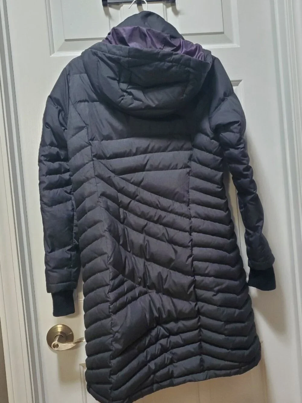 Basin + Range Evergreen Quilted Coat | Small - Picture 3 of 8
